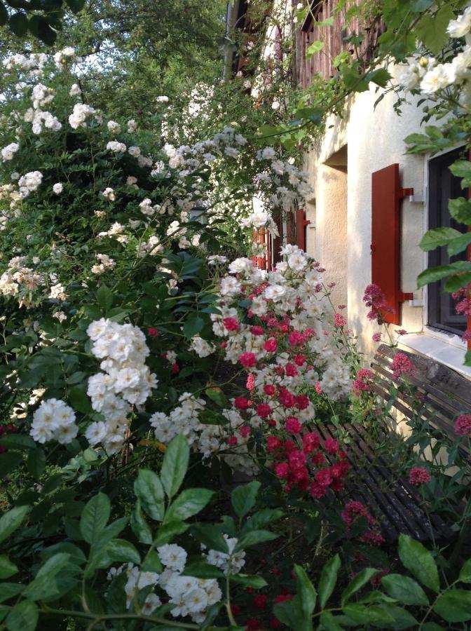 Bed and Breakfast Haus Probst am See Schondorf am Ammersee Exterior foto